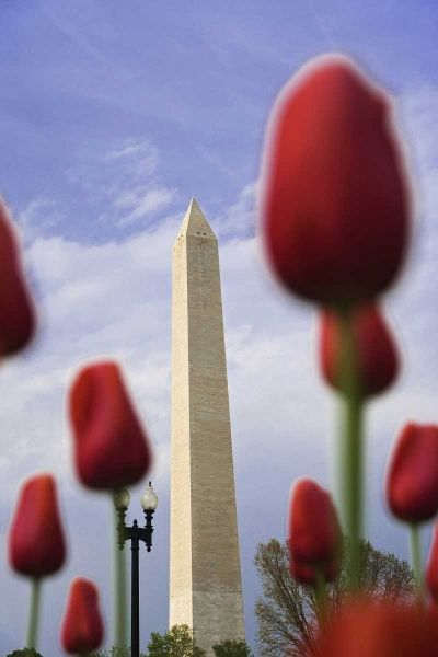 Washington DC, The Washington Monument